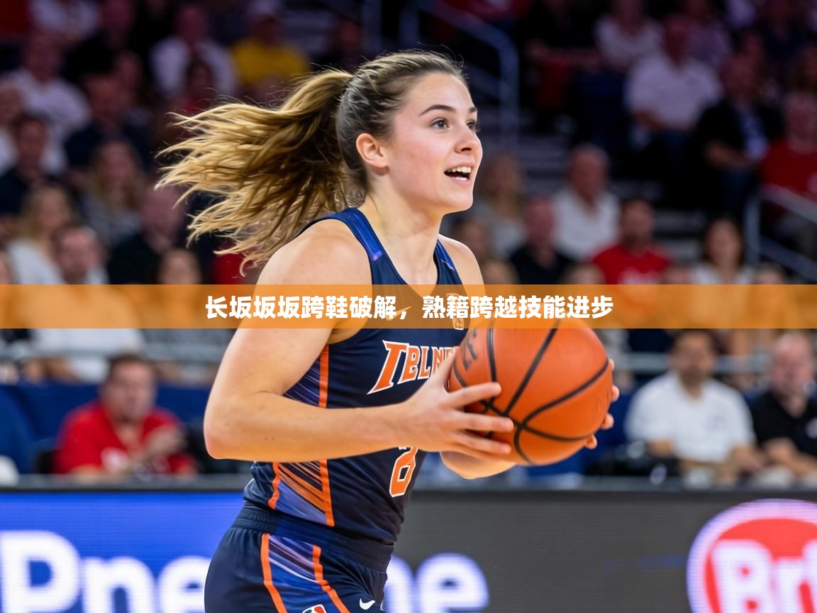 长坂坂坂跨鞋破解，熟籍跨越技能进步  第1张